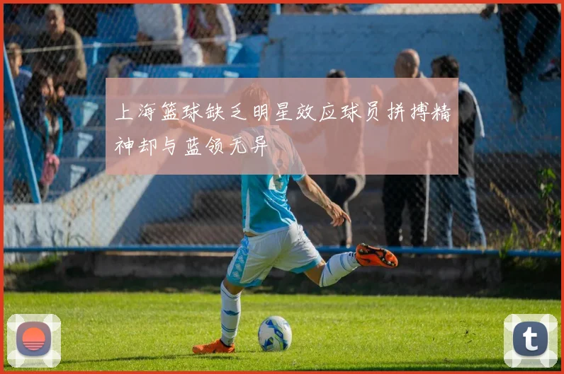 上海篮球缺乏明星效应球员拼搏精神却与蓝领无异